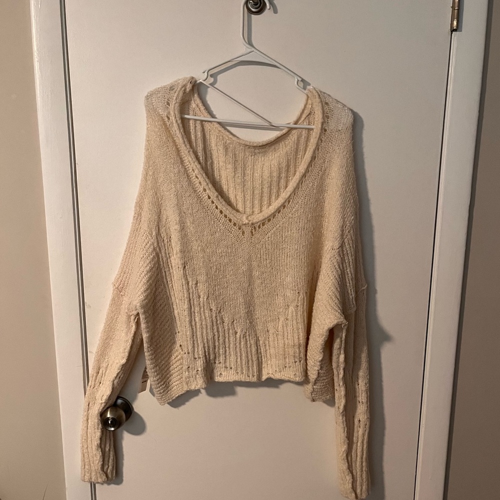 Free people sweater.